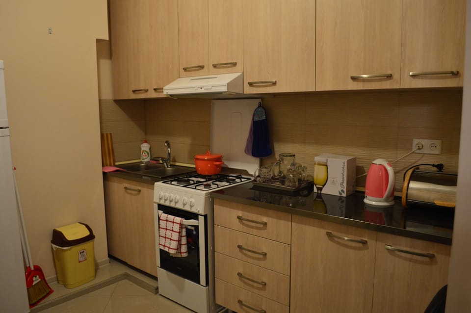 Family Apartment, 2 Bedrooms, Balcony, City View | Private kitchen | Full-size fridge, microwave, oven, stovetop