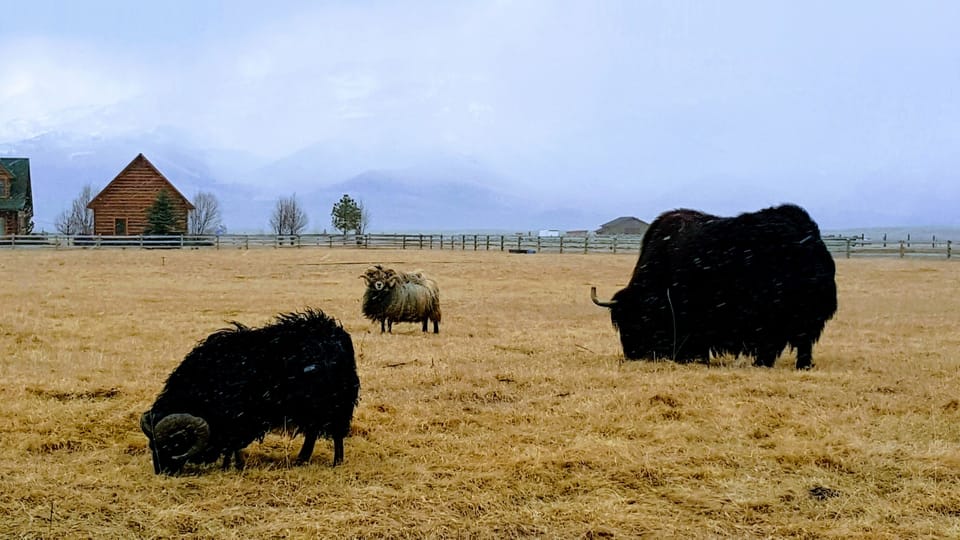 more of your neighbours!