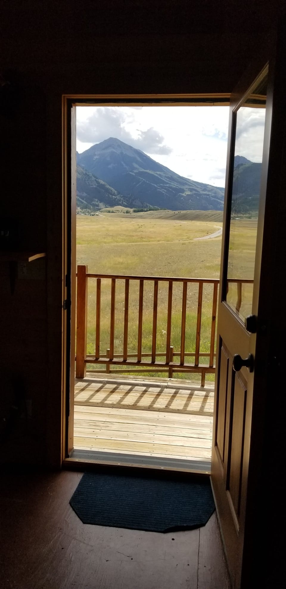 the view from the patio door
