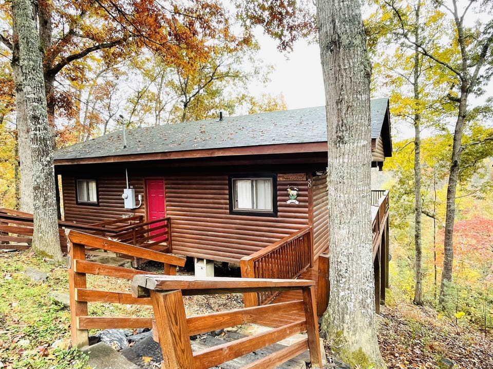 Treehouse cabin 