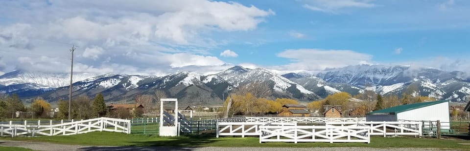 Bridgers in springtime