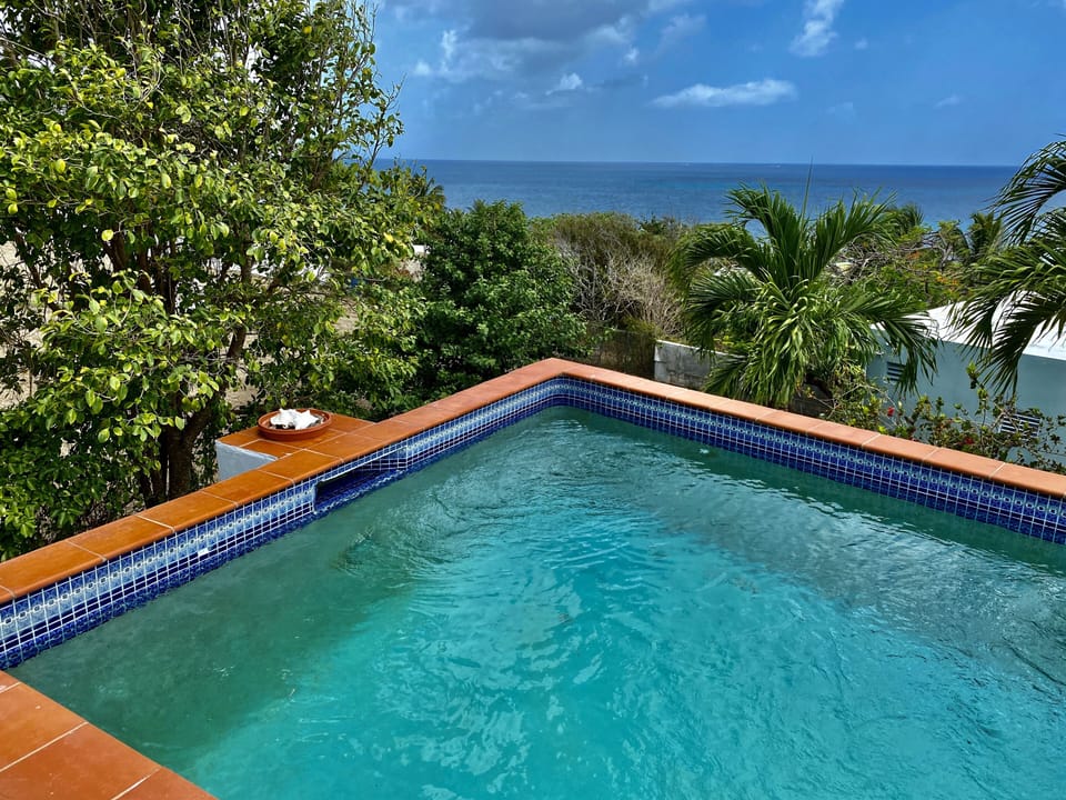Poolside view