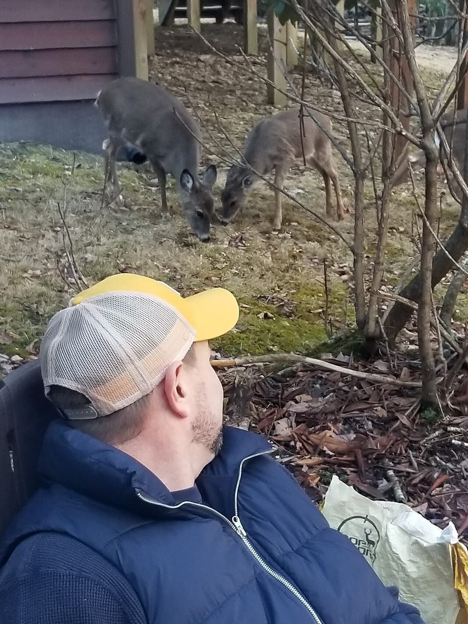 Our Deer Friends