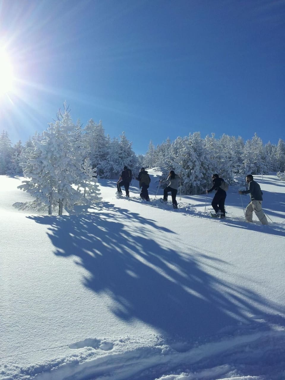 Snow and ski sports