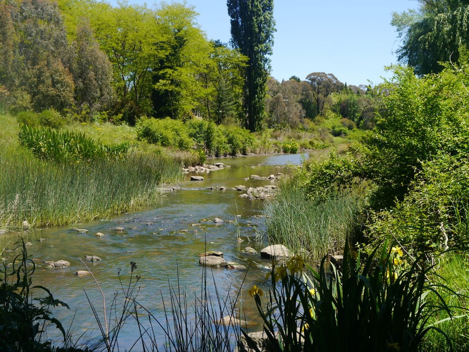 Beautiful walks along the river