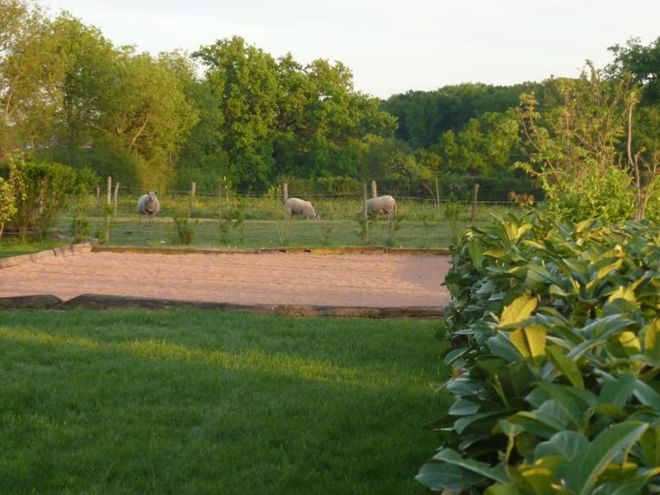 Sport court