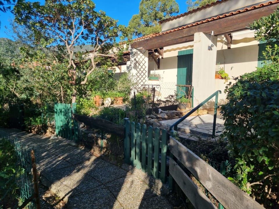 Plant, Building, Window, Sky, Tree, Land Lot, House, Road Surface, Cottage, Neighbourhood