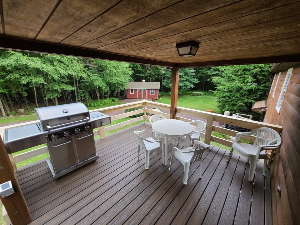 Expanded new TREX rear deck for relaxing, including new grill. 