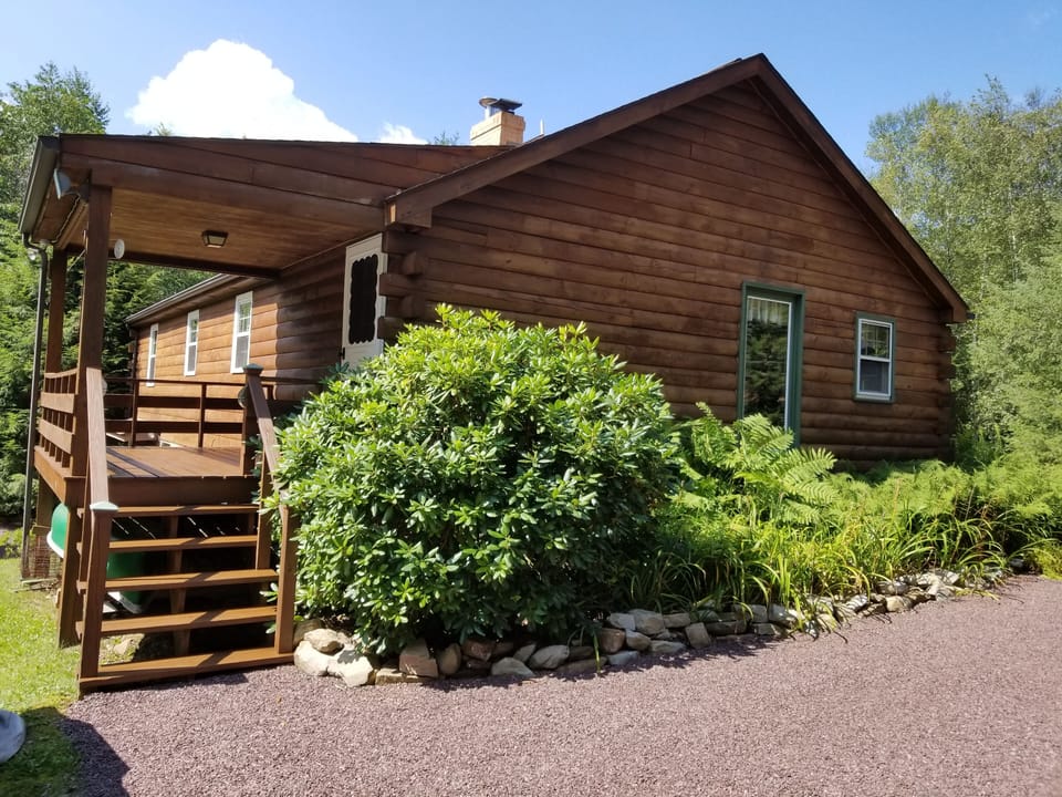 Rhododendrons and ferns line the side of the cabin