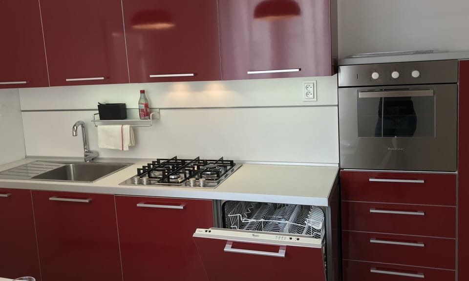 Gas hob, dishwasher, oven, fridge and fully equipped for meal prep.