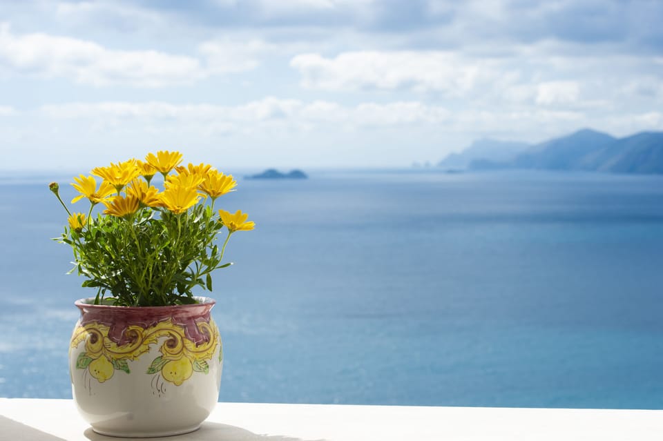 view from the terrace