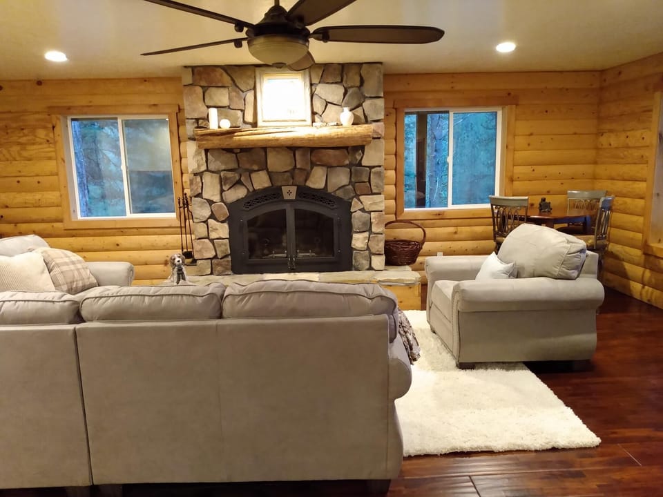 Living room and fireplace