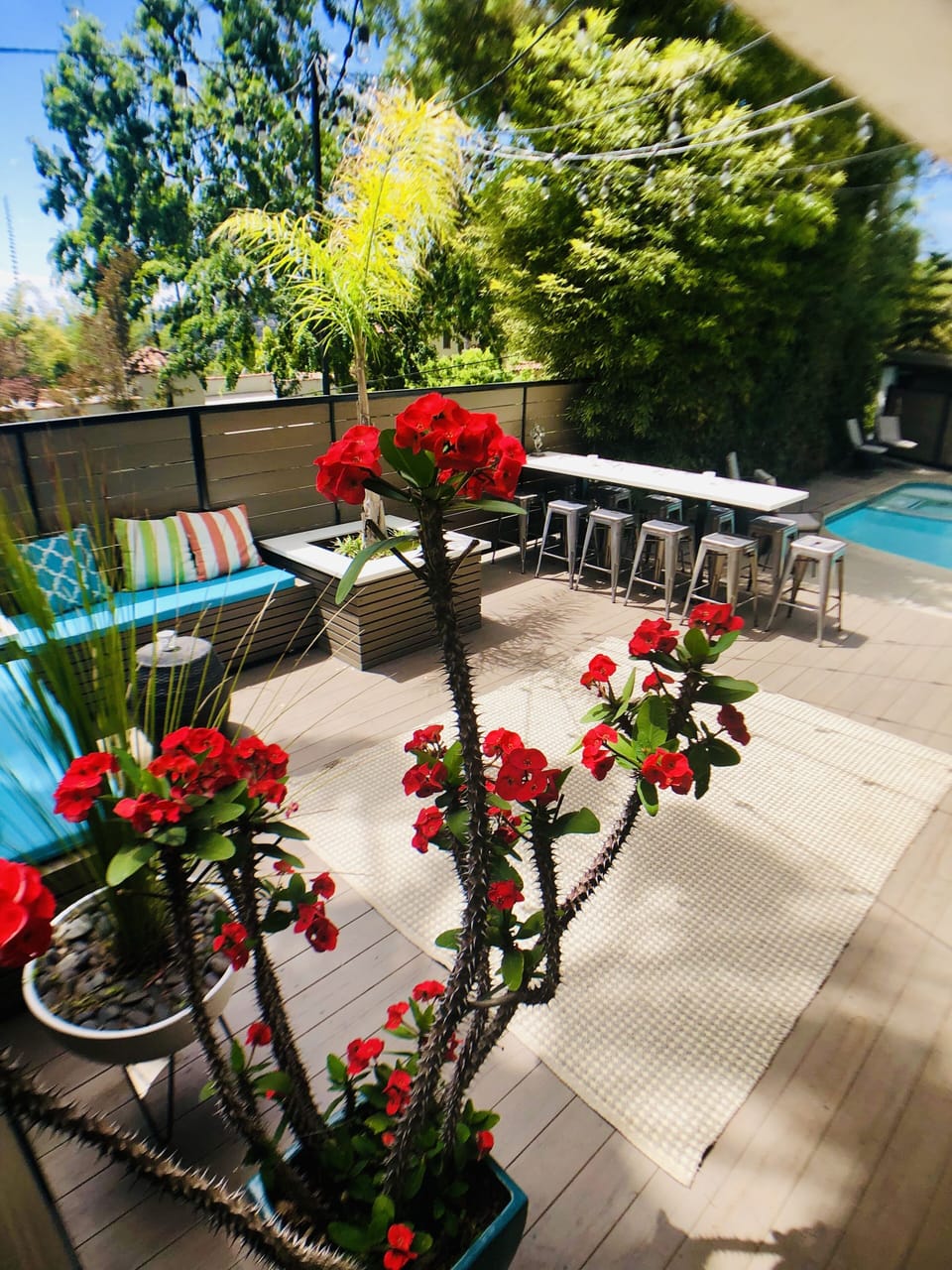 Tropical plants, private deck with comfortable seating.  Bring your laptop. 