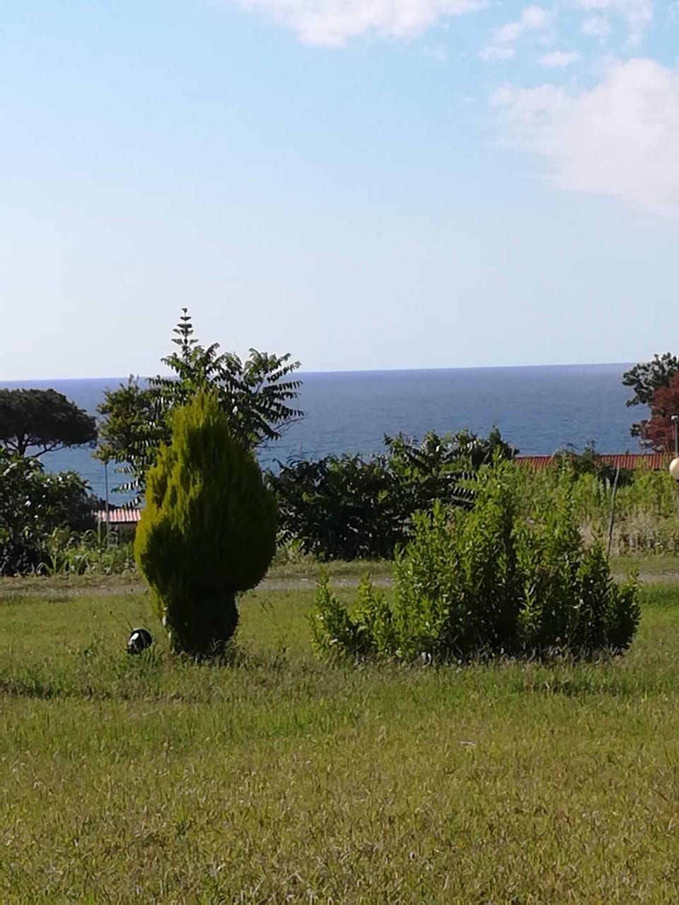 B&B in an old farmhouse surrounded by greenery, 400 from the sea and 1 km from Tropea Bed and Breakfast in Calabria