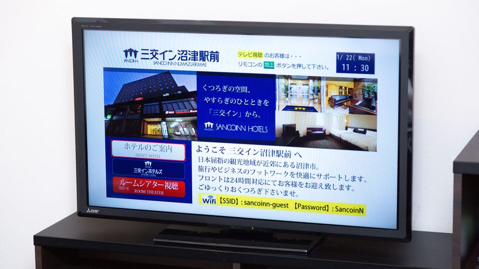 Television