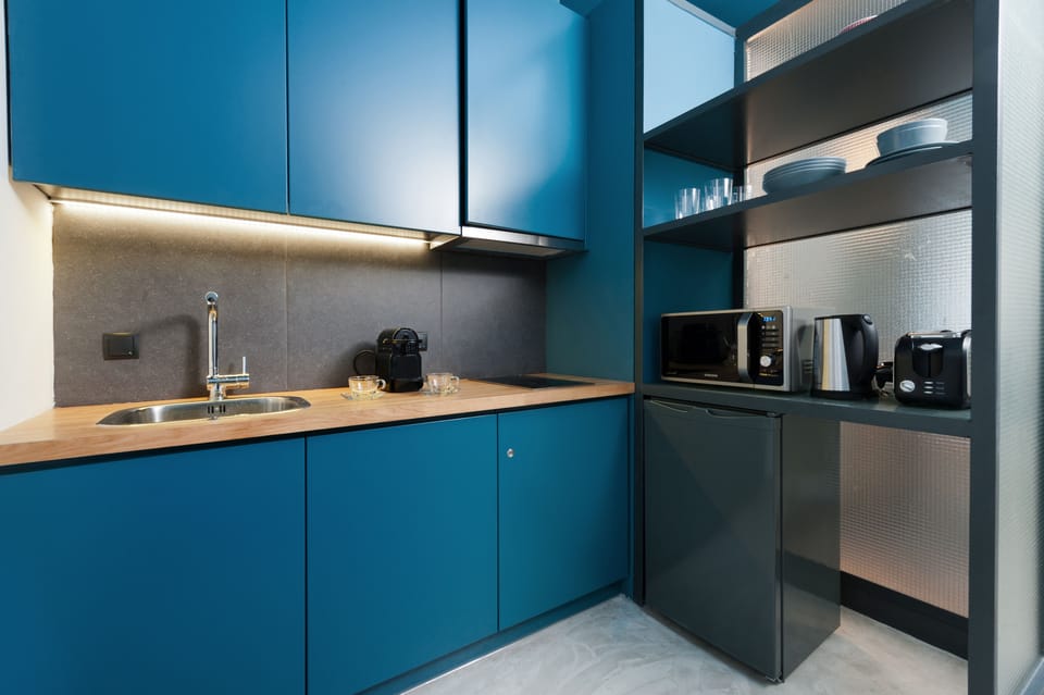 Apartment, 1 Bedroom, City View | Private kitchenette | Fridge, microwave, stovetop, espresso maker