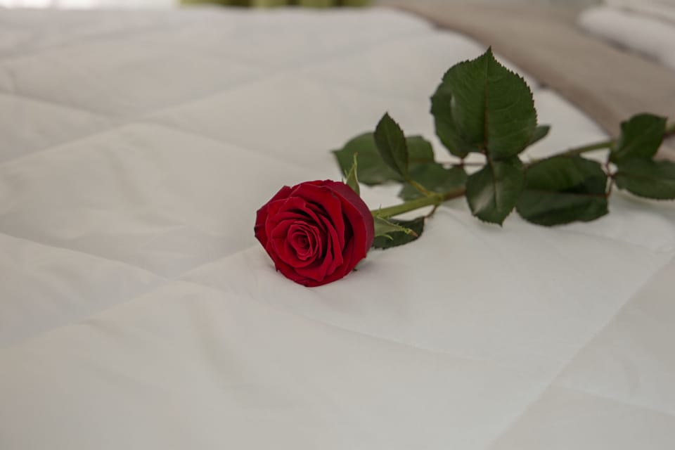 Double Room, Balcony | In-room safe, individually decorated, individually furnished, desk