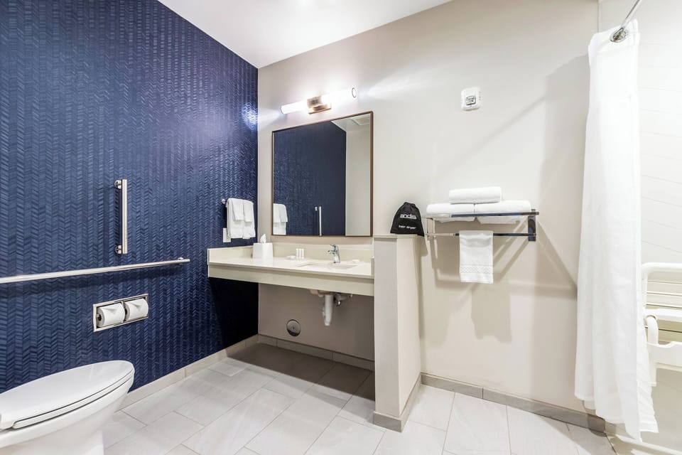 Executive Suite, 1 King Bed with Sofa bed | Bathroom | Hydromassage showerhead, towels