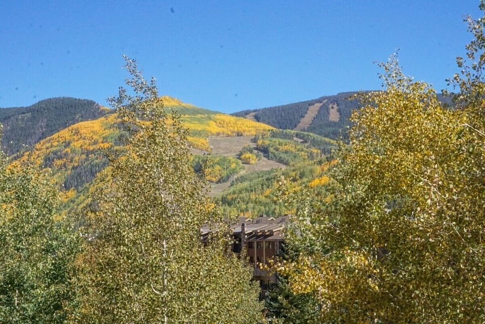 Naked Eye views in fall