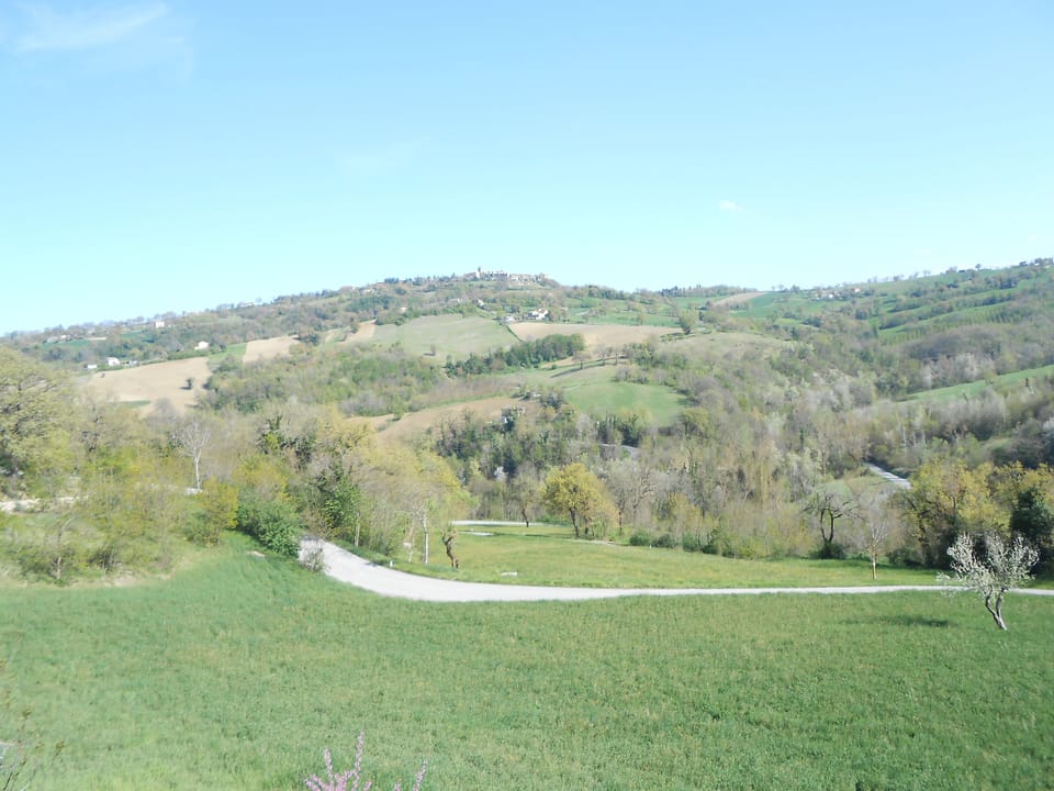 View from the terrace.