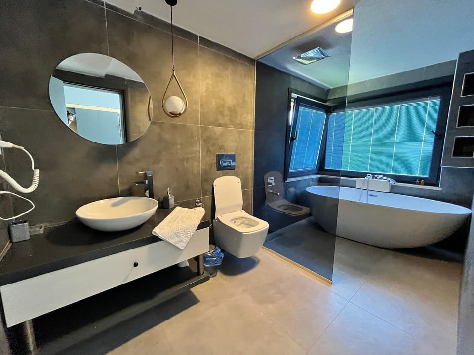 Deluxe Double Room | Bathroom | Shower, hair dryer, slippers, towels