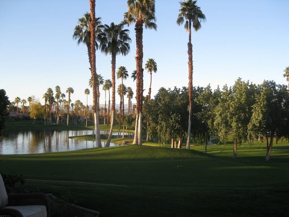 View from back patio