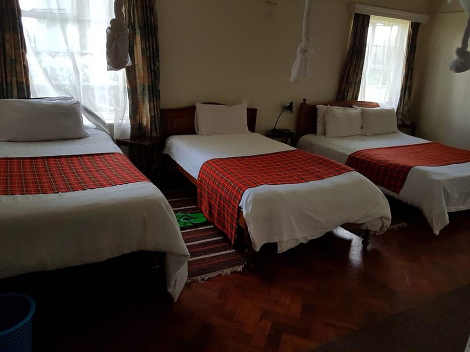 Standard Triple Room | Desk, free WiFi, bed sheets