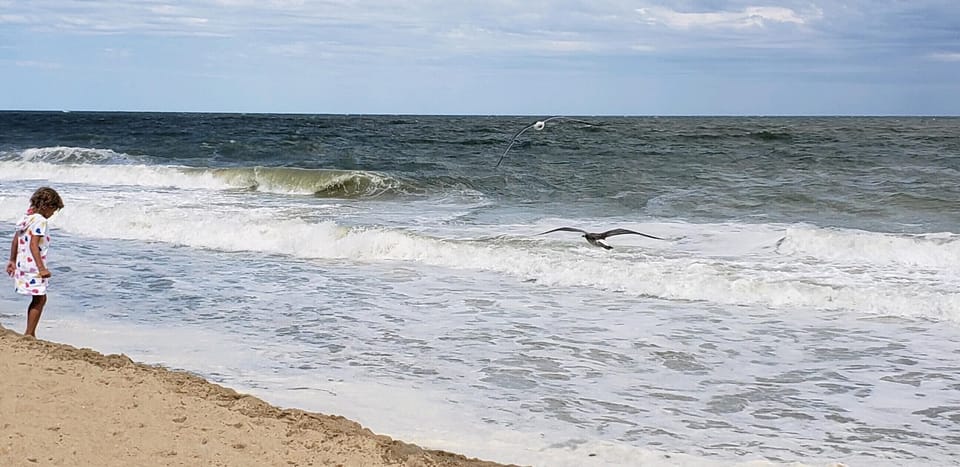 The beach is a short walk across coastal highway. 