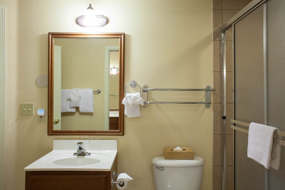 One Bedroom