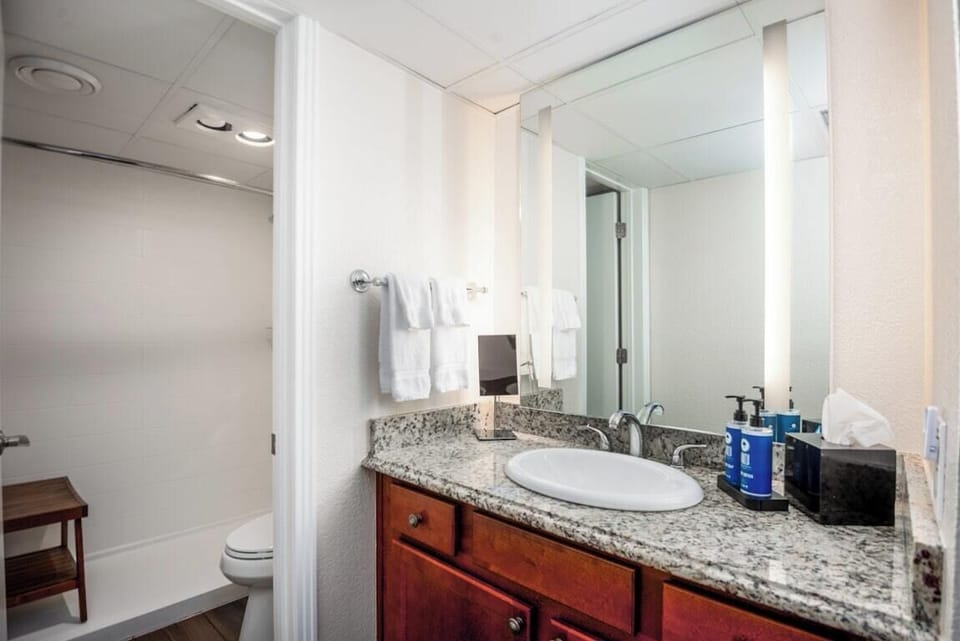 1 Bedroom Deluxe