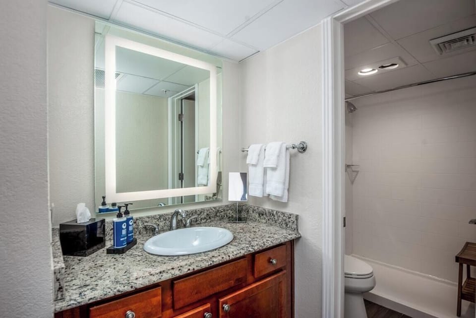 1 Bedroom Suite