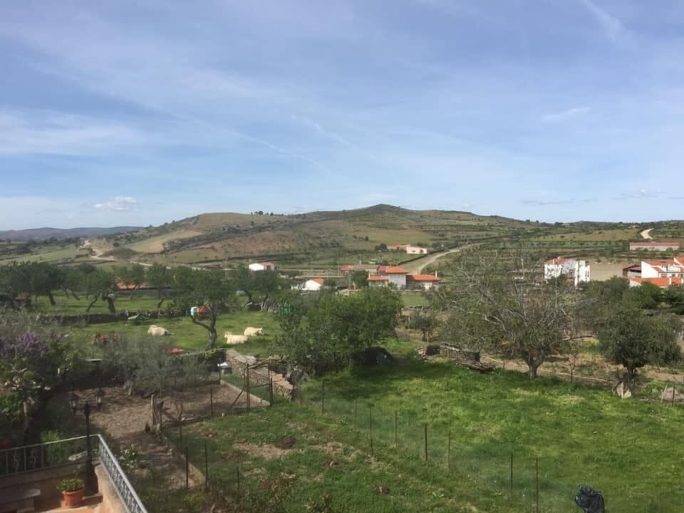 Double or Twin Room | View from room