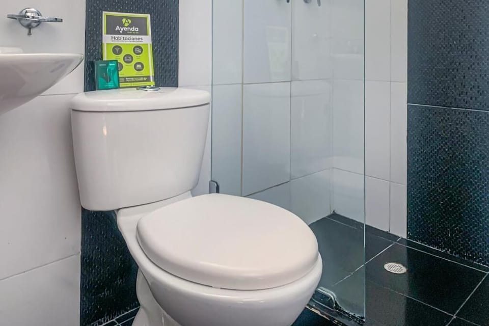 Shower, bidet, towels