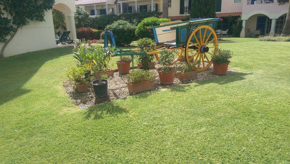 Traditional Cart 