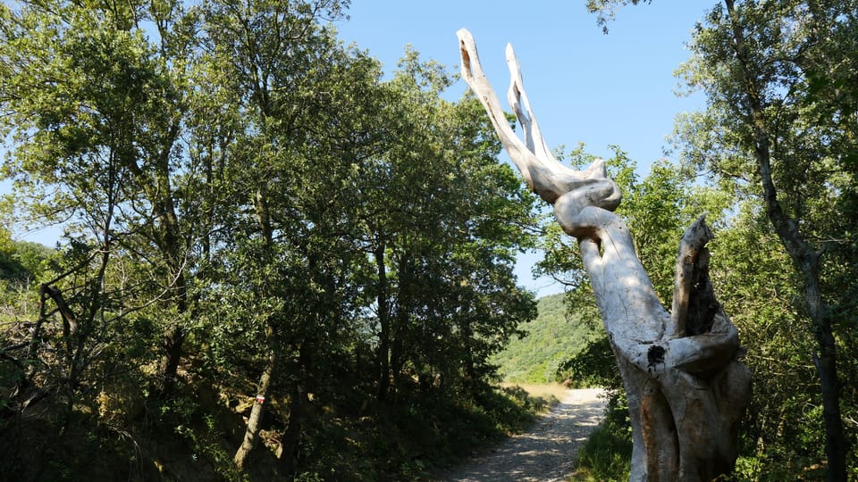 Sculpture walk 