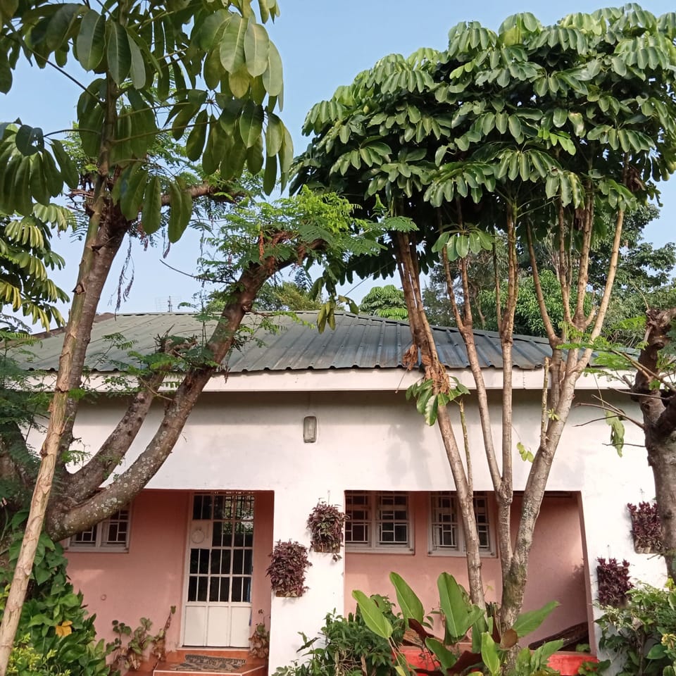 Standard Cottage | Courtyard view