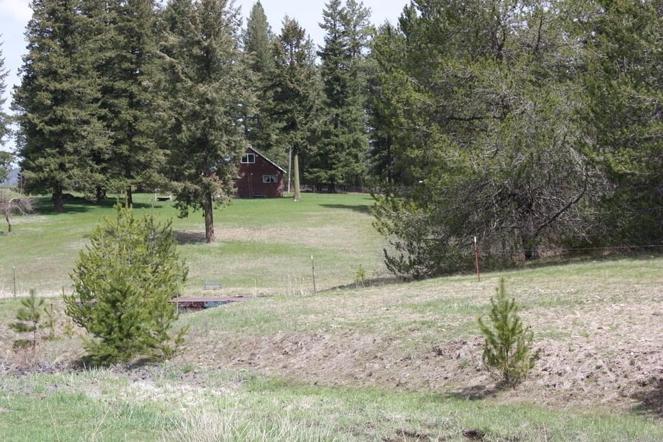Looking back at cabin from the ponds