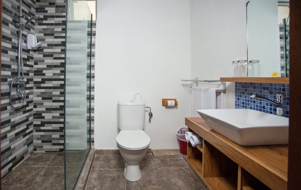 Shower, free toiletries, hair dryer, towels