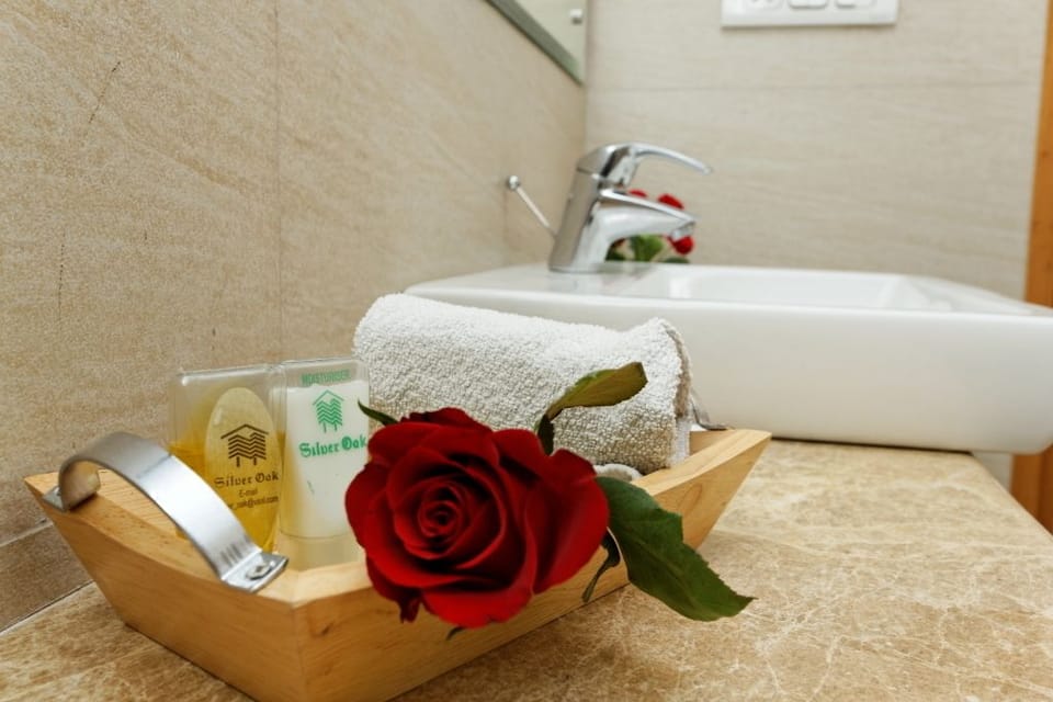 Shower, rainfall showerhead, free toiletries, hair dryer