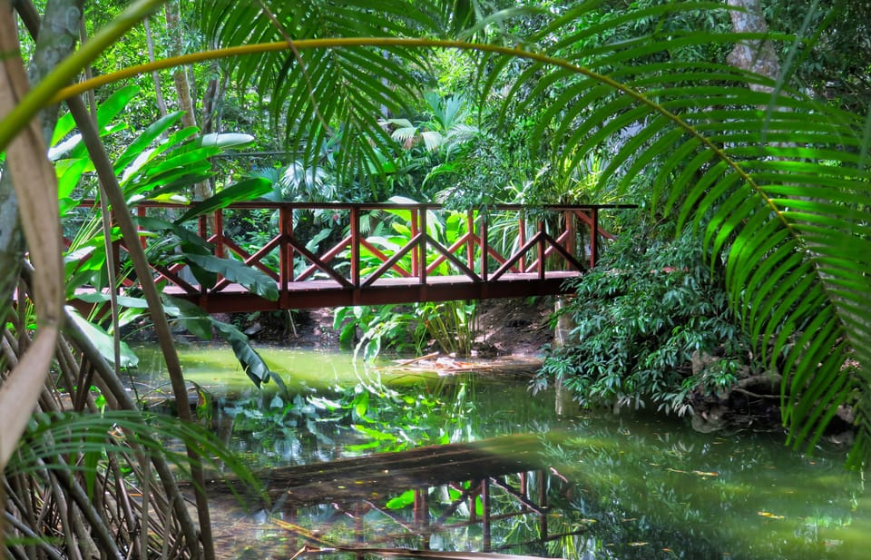 Private estuary with bridge to beach