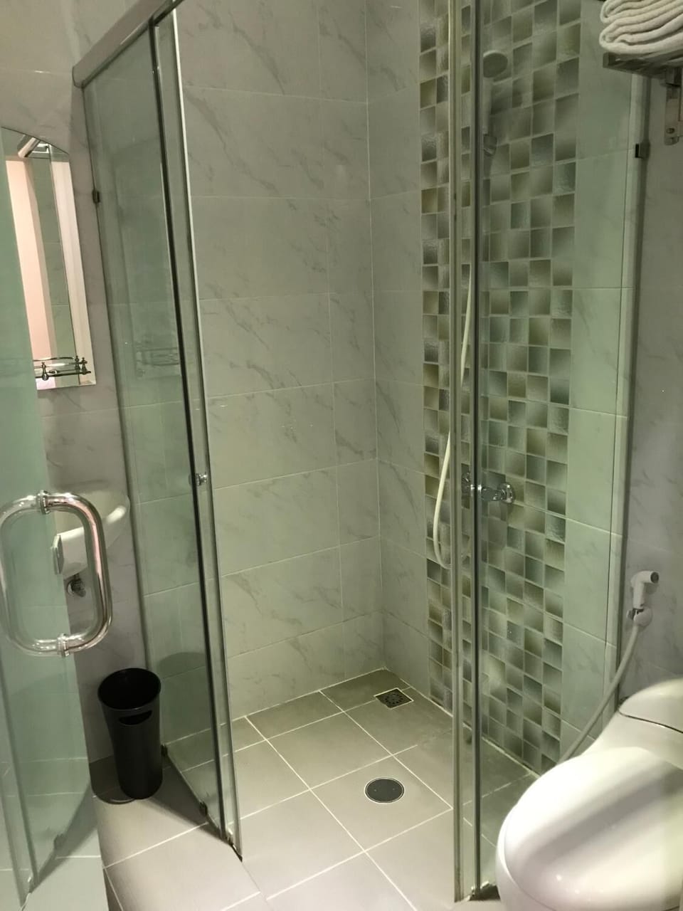 Shower, bidet, towels, soap
