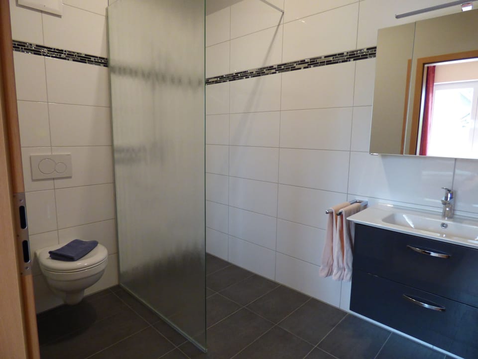 Apartment, 1 Bedroom, Accessible | Bathroom | Shower, hair dryer, towels, soap
