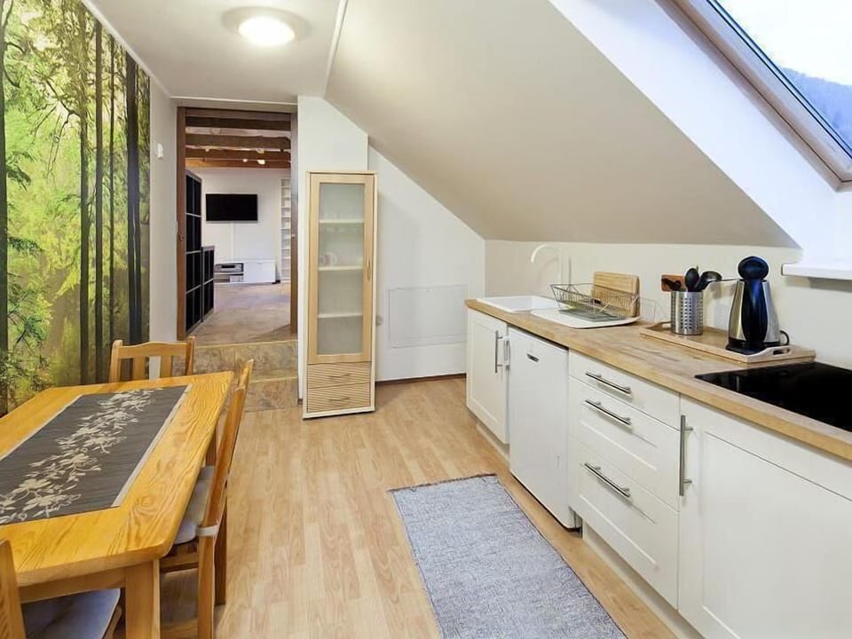 Family Apartment, 1 Bedroom | Private kitchen | Fridge, oven, stovetop, cookware/dishes/utensils