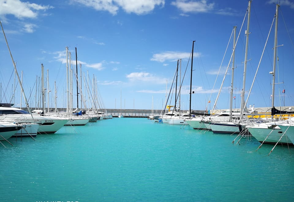 the marina