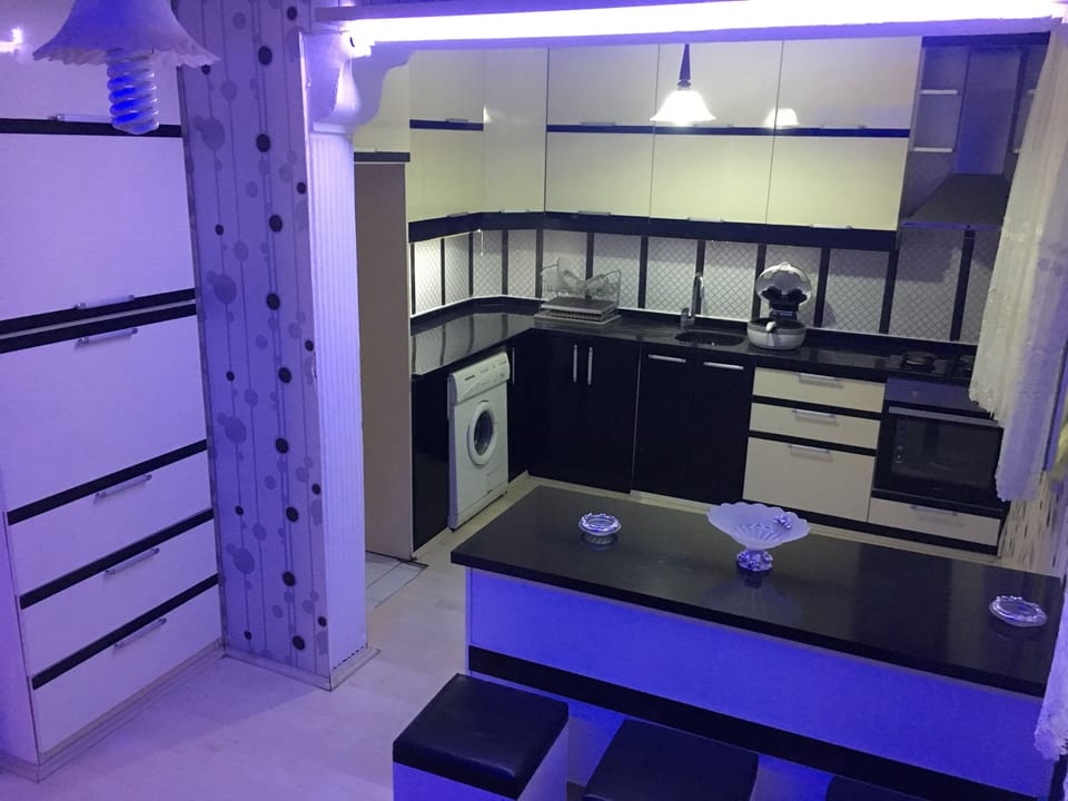 Mini-fridge, dishwasher, rice cooker, griddle