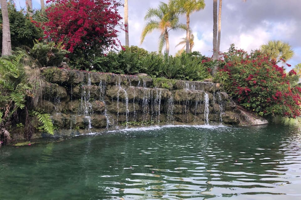 A tropical feel right from the minute you drive in the complex.  Relax and enjoy!