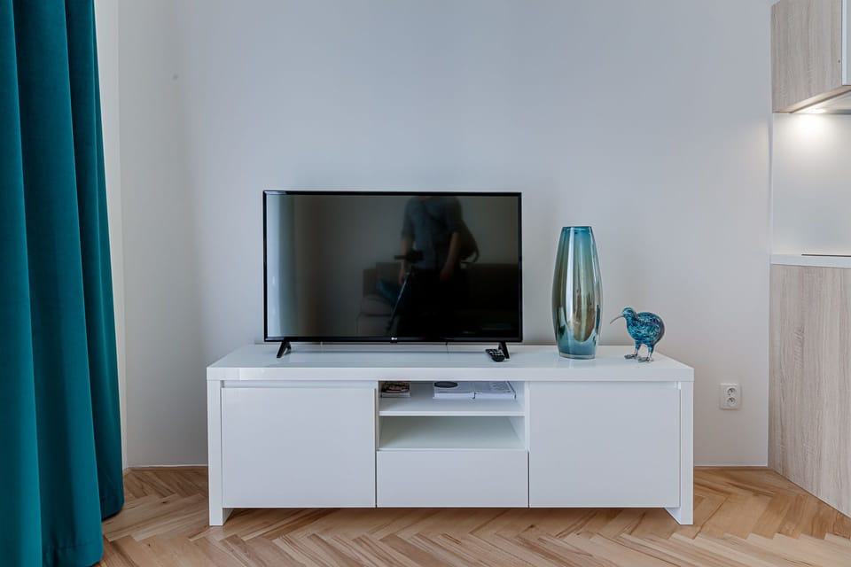 Television