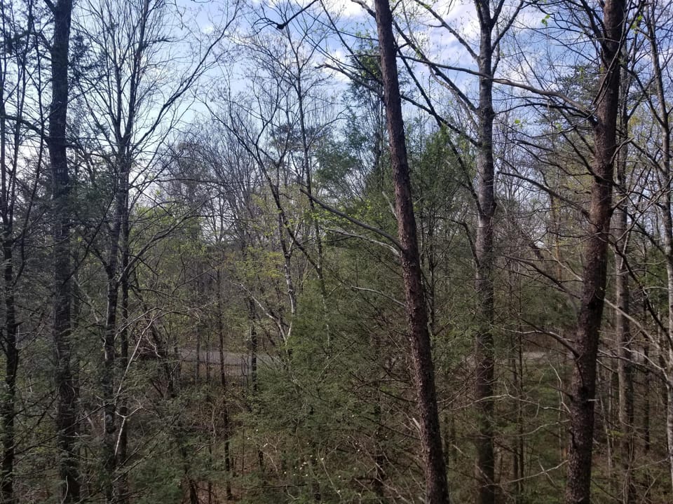 View off deck