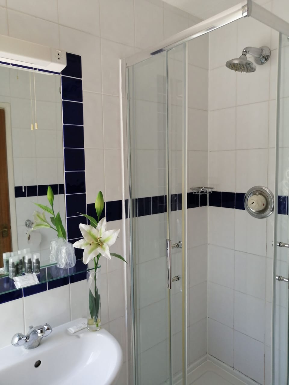 Standard Double Room | Bathroom | Shower, hair dryer, towels, soap