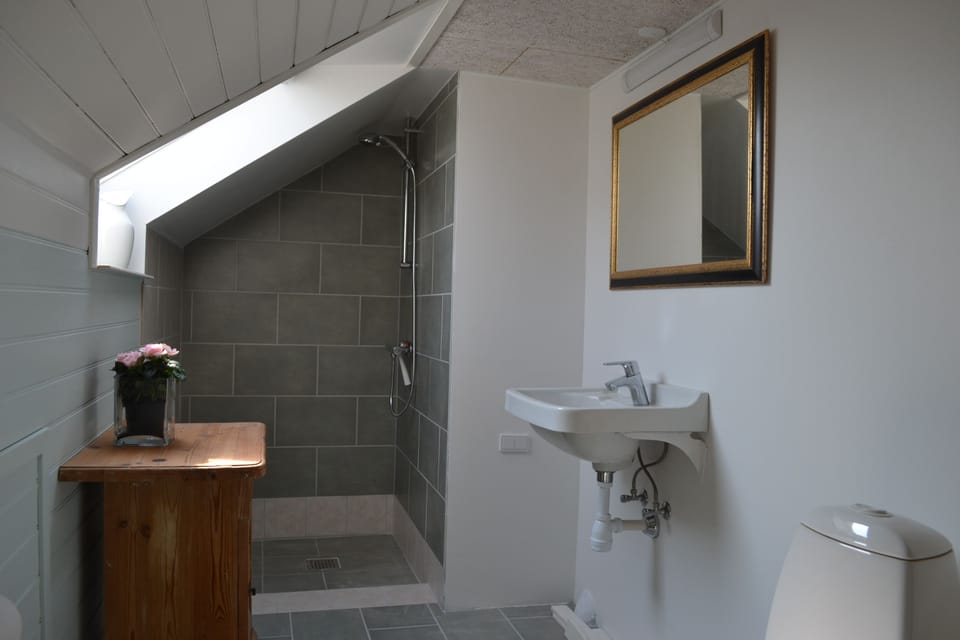 Shower, rainfall showerhead, towels